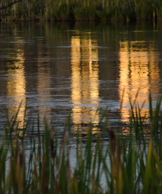 Not the moon reflection