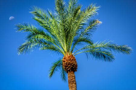 Maralee_Park_Day 249-252_00003 My few minutes outdoors in Las Vegas