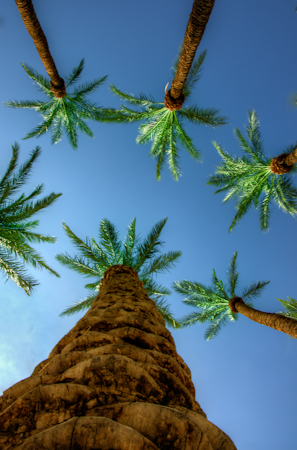 Maralee_Park_Day 249-252_00004 My few minutes outdoors in Las Vegas