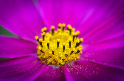 Maralee_Park_Day 264_00002