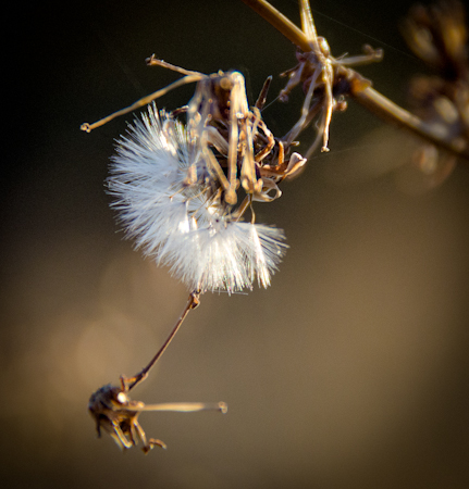 Maralee_Park_121011_37044-Edit