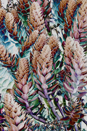 Maralee_Park_121016_37275-Edit Solalrization