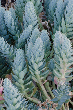 Maralee_Park_121016_37275 Original photo