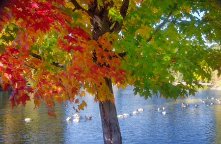 Maralee_Park_121018_37467-Edit