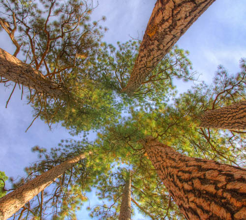 Where I lost my keys