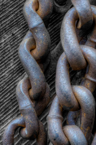 Maralee_Park_121123_39774_3_2