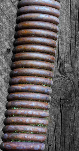 Maralee_Park_121123_39794-Edit