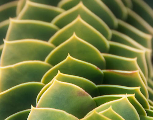 Maralee_Park_Day86_00004