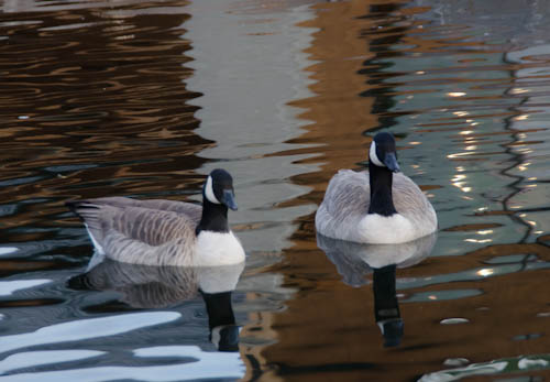 Maralee_Park_121207_40163-Edit