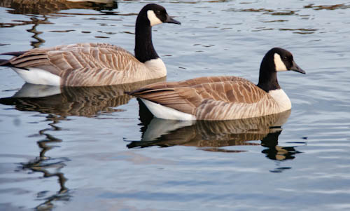 Maralee_Park_121207_40166-Edit