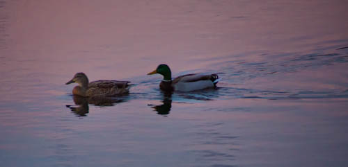 Maralee_Park_121207_40223-Edit-Edit