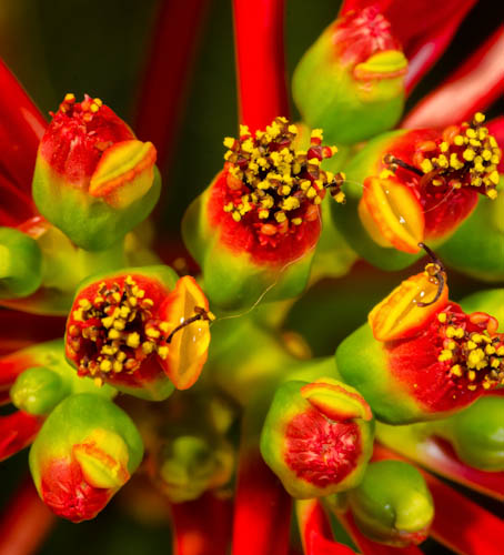 Maralee_Park_121211_40601-Edit