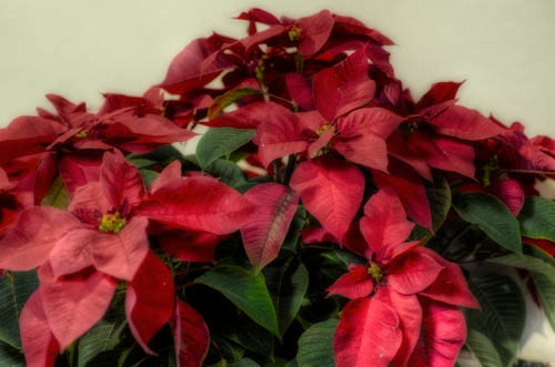Maralee_Park_121211_40621_20_19_18_17_16