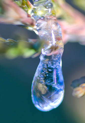 Maralee_Park_121214_40714-Edit