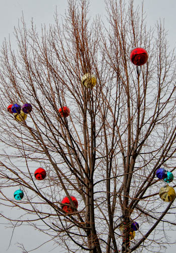 Maralee_Park_121216_40801-Edit