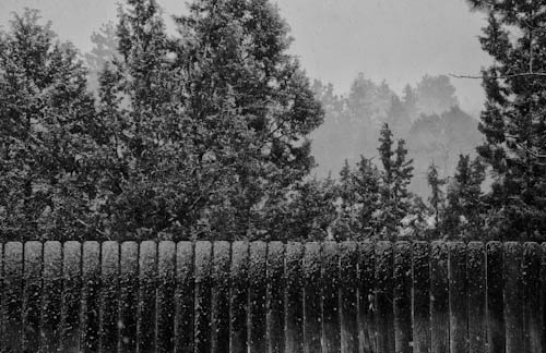 Maralee_Park_121216_40884-Edit