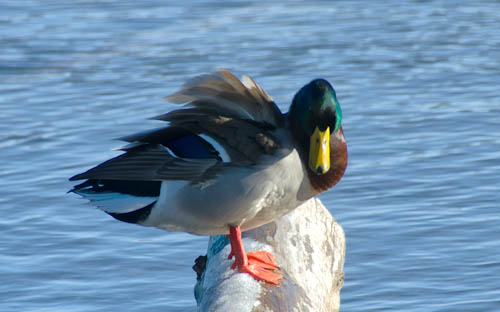 Maralee_Park_121222_41045-Edit