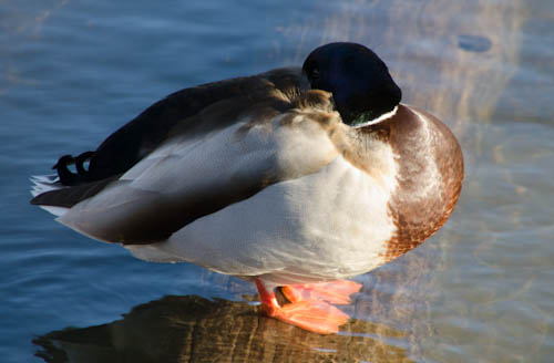 Maralee_Park_121222_41047-Edit