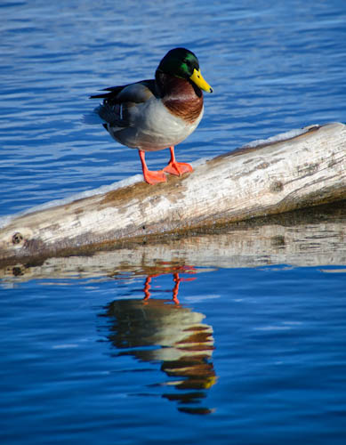 Maralee_Park_121222_41057-Edit