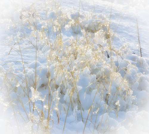 Maralee_Park_121223_41083-Edit