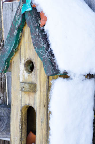 Summer Home in Winter