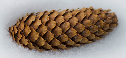 Maralee_Park_121224_41140-Edit-Edit