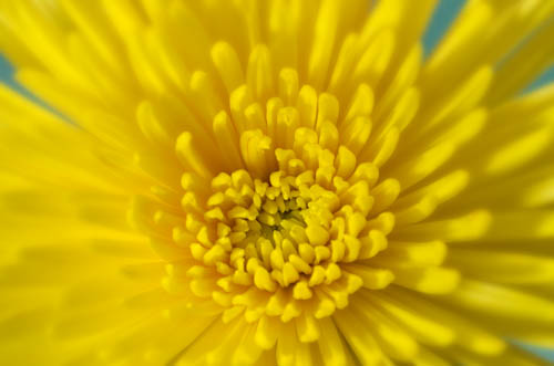 Maralee_Park_121227_41176-Edit-Edit