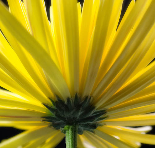 Maralee_Park_121227_41227-Edit