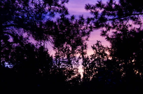 Maralee_Park_121227_41274-Edit