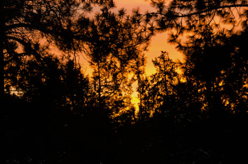 Maralee_Park_121227_41278-Edit