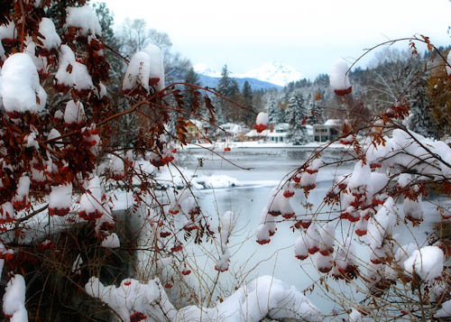 Maralee_Park_060227_03725-Edit