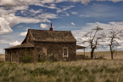 Maralee_Park_070520_03379-Edit-Edit