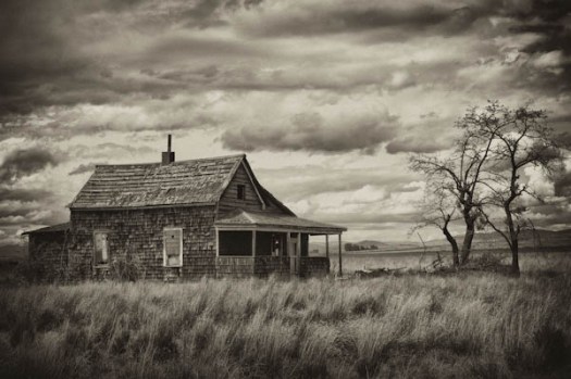 Maralee_Park_070520_03388-Edit-Edit-Edit