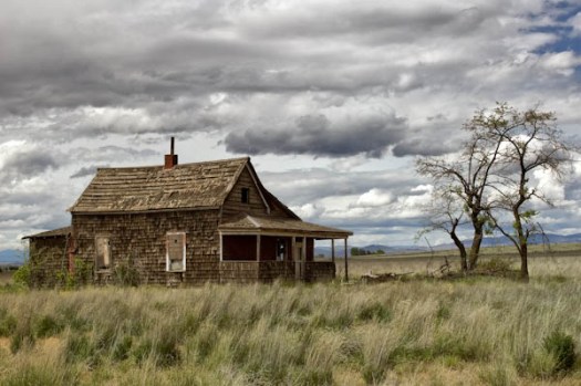 Maralee_Park_070520_03388-Edit-Edit