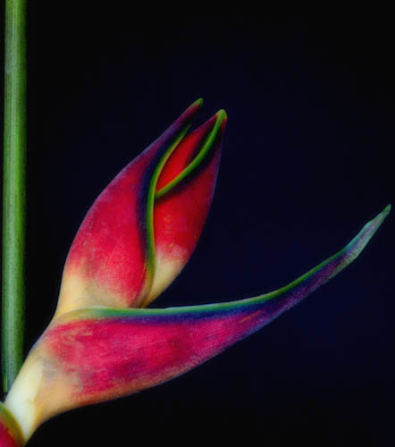 Maralee_Park_130105_41917-Edit