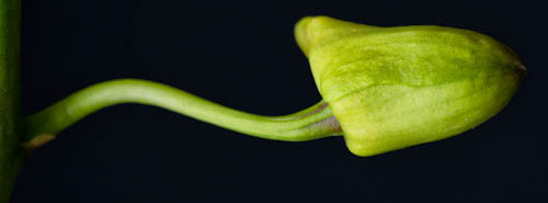 Maralee_Park_130105_41945-Edit-Edit