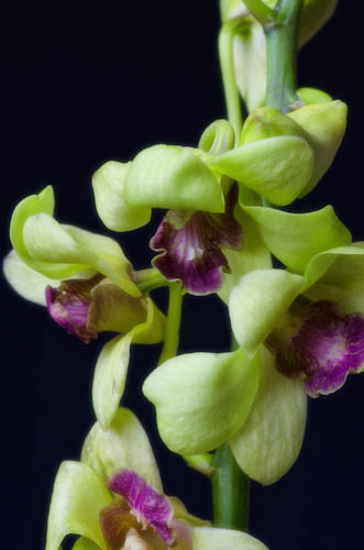 Maralee_Park_130105_41948-Edit