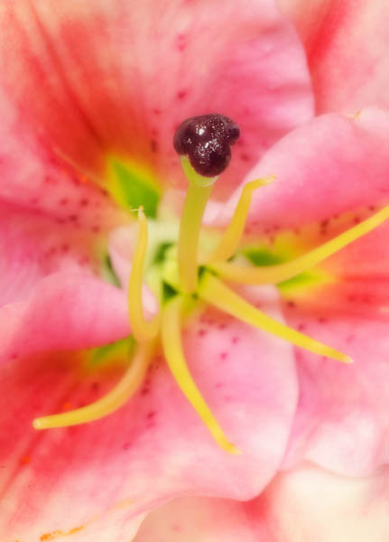 Maralee_Park_130109_41989-Edit