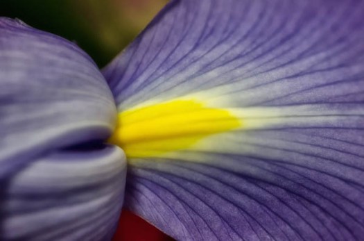 Maralee_Park_130110_42080-Edit