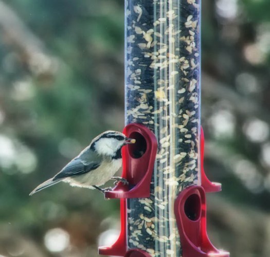 Maralee_Park_130112_42090-Edit