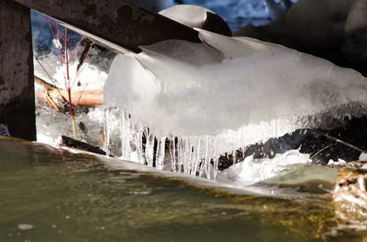 Maralee_Park_130119_42144-Edit