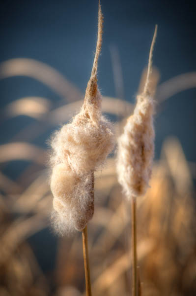 Maralee_Park_130119_42156_5_4