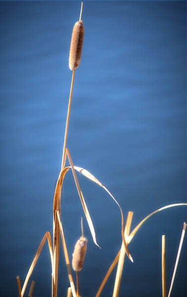 Maralee_Park_130119_42160-Edit