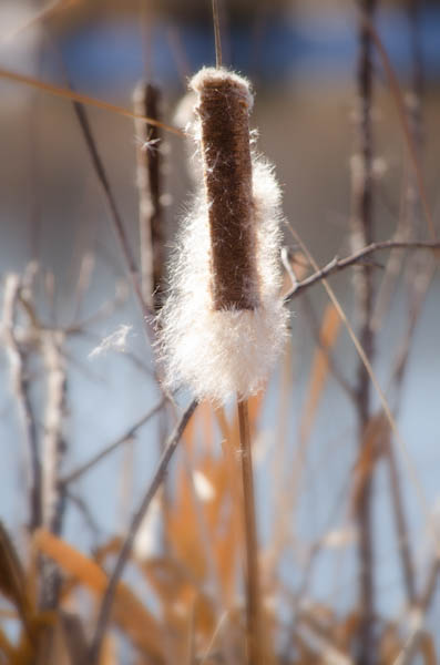 Maralee_Park_130119_42180-Edit