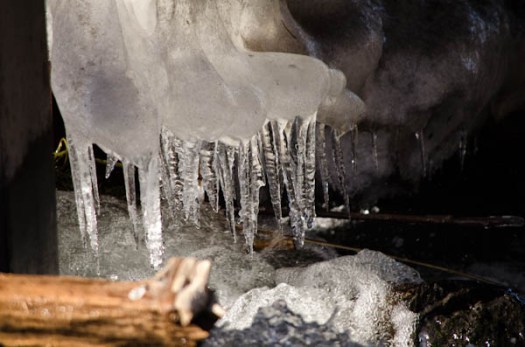 Maralee_Park_130119_42187-Edit