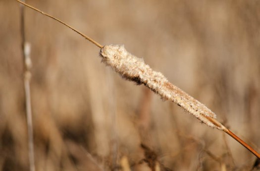 Maralee_Park_130119_42214-Edit