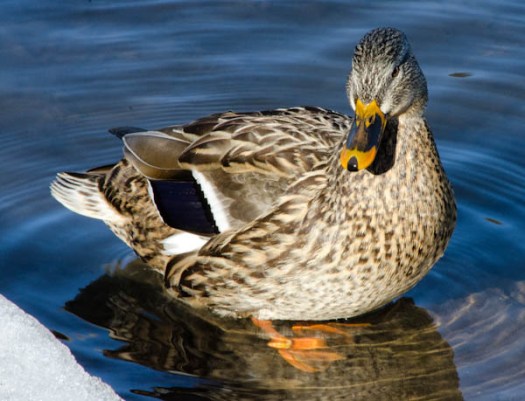 Maralee_Park_130124_42298-Edit-2