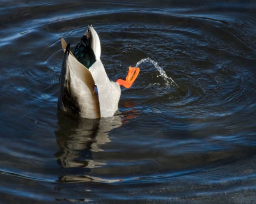 Maralee_Park_130124_42308-Edit-2