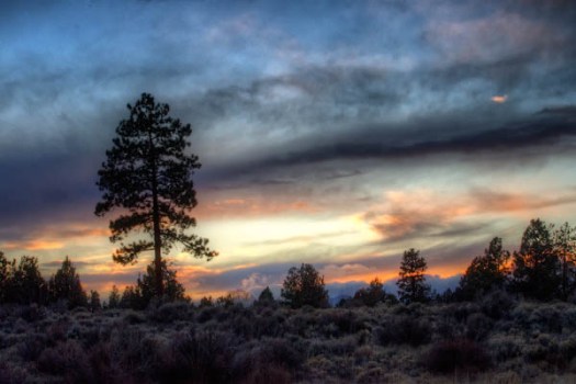 Maralee_Park_130126_42328_7_6