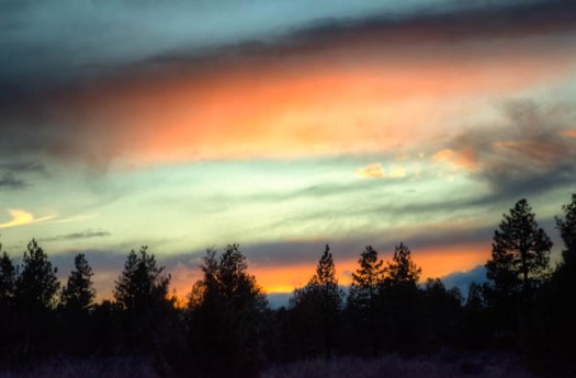 Maralee_Park_130126_42337_6_5